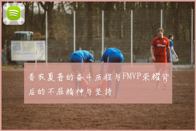 香农夏普的奋斗历程与FMVP荣耀背后的不屈精神与坚持